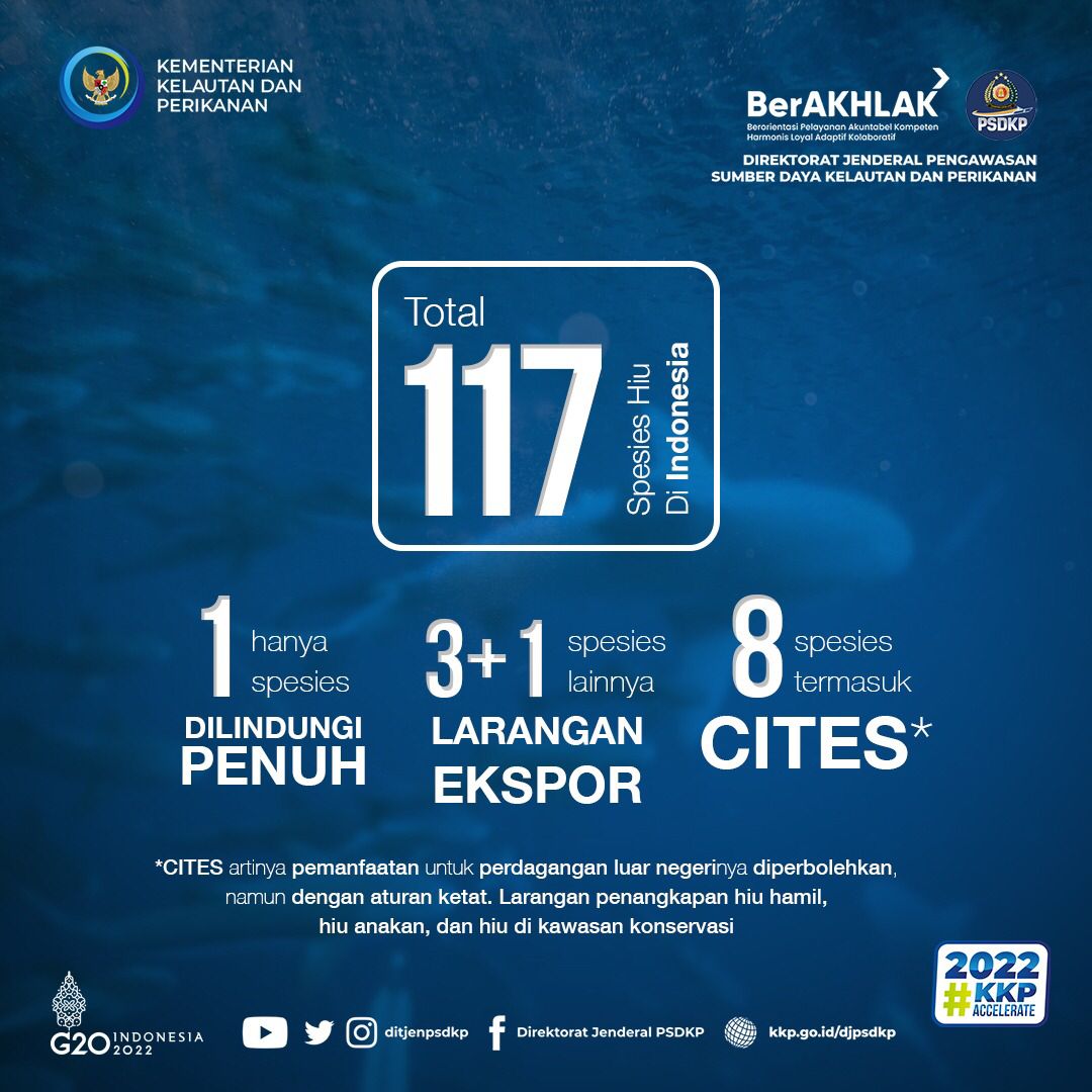 Ditjen PSDKP-KKP RI tweet media