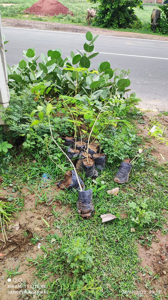 Agarwal_SKumar's tweet photo. 28 करोड़ पेड़ 
ये वृक्षारोपण की कौन सी तकनीकी है 
ऐसे कई ढेर पेड़ों के, बिना रोपित हुए पड़े हुए देखे जा सकते है गड्ढों में बिना प्लास्टिक की थैली हटाए पेड़ रख दिए गए हैं शास्त्रीपुरम आगरा
@myogioffice @PMOIndia https://t.co/4PmtCThuBD