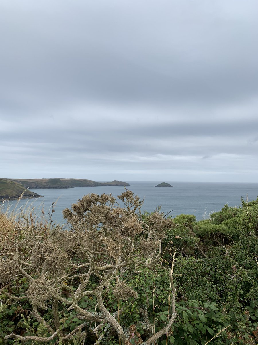 retepnosliw's tweet photo. Moody views at #Doyden and #portquin this morning https://t.co/L3nL9EZwTA