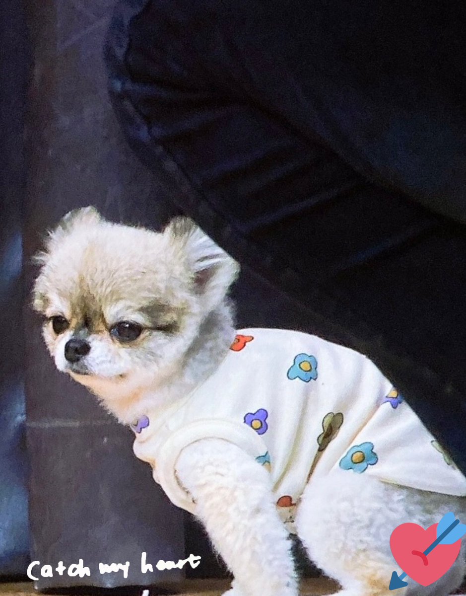 cmh0209's tweet image. 220724 뮤직앤드라마  #청하 #abcfamily