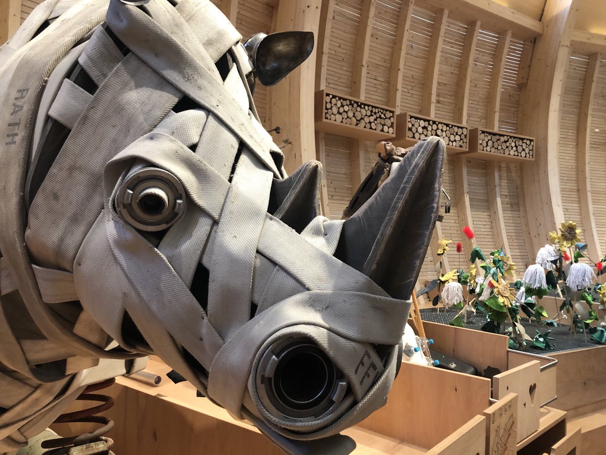 Marie-Theres Fojuth tweet media