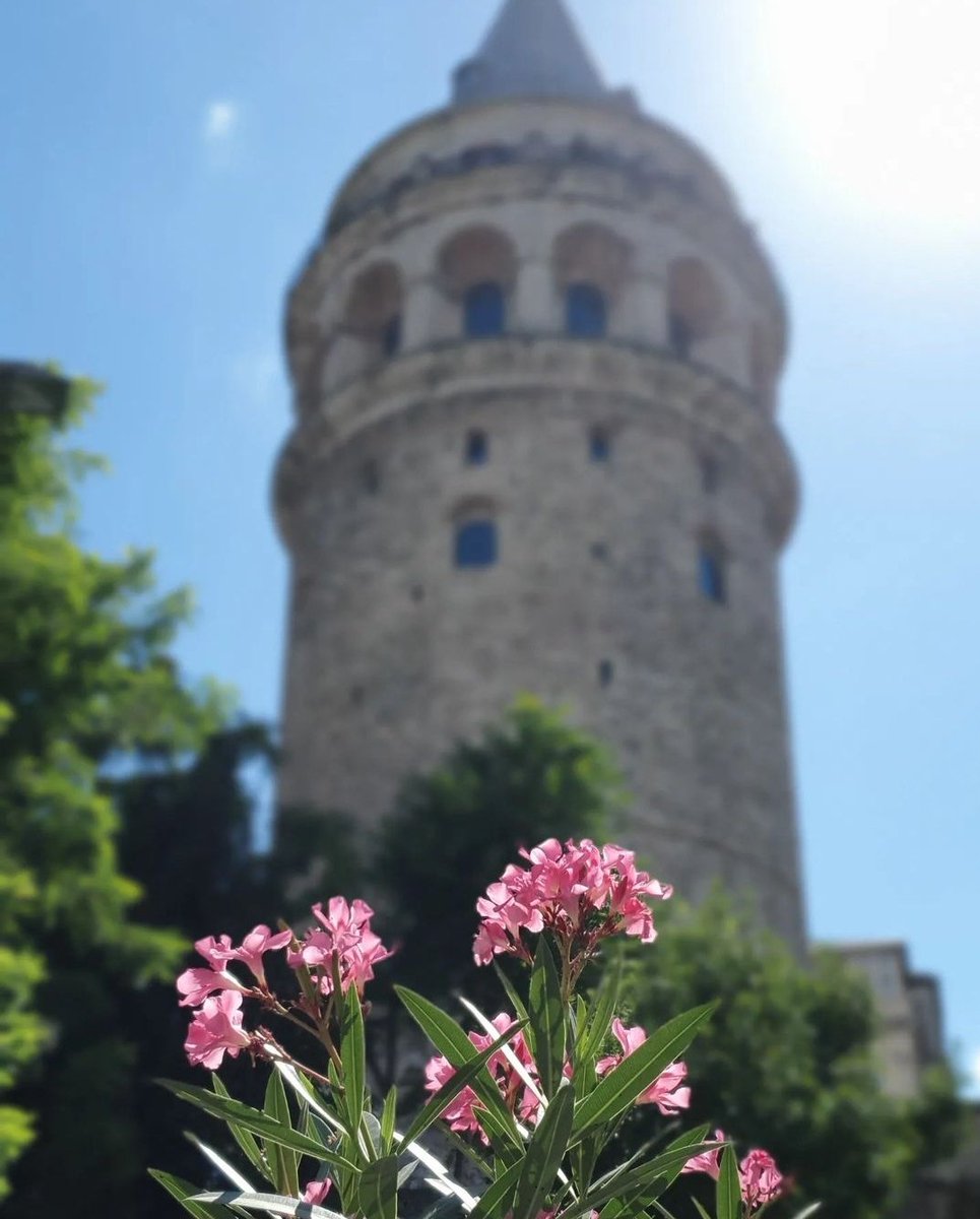 mutlu pazarlaar🌸
•
#galatakulesi