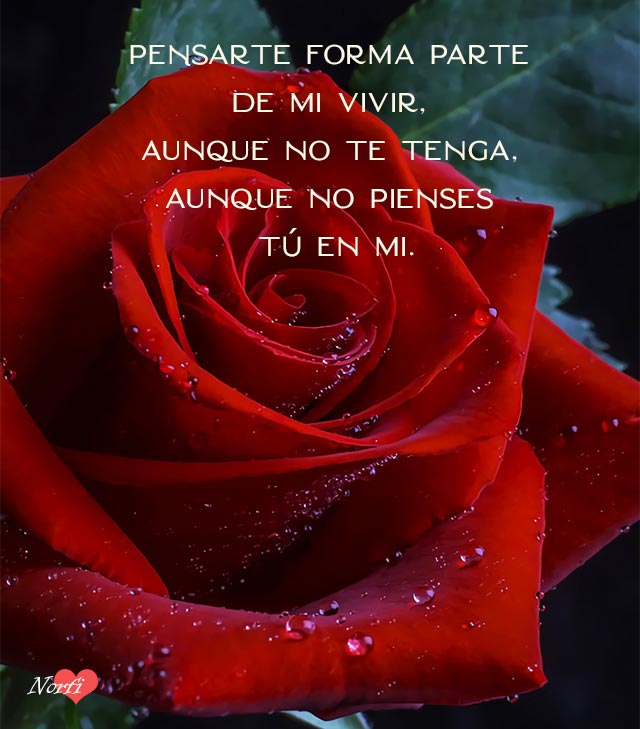 FrasesDeAmor on Twitter: "Pensarte forma parte de mi vivir, aunque no ...