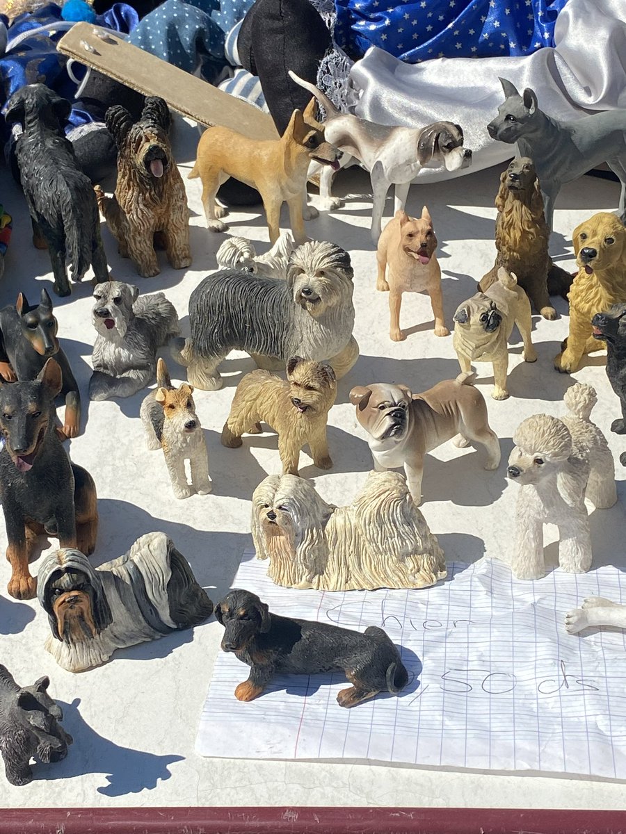 Hey pals, ott ere again today ☀️ so da hoos went to a fete wivout us… Dey ate sossies and chippies 😤 and saw a stall full of doggy statues 👏🏼