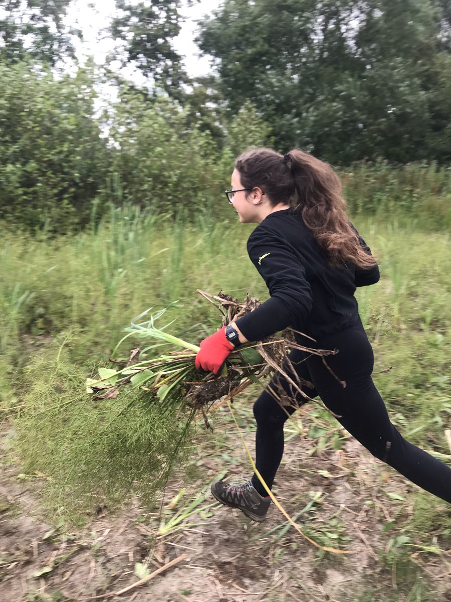 GauntlettESU's tweet photo. The beginning of a new project at a local Nature Reserve.  Today we cleared invasive species - next visit creating footpaths for newts. #DoingOurBit #Nature https://t.co/sZBJhSpTVQ