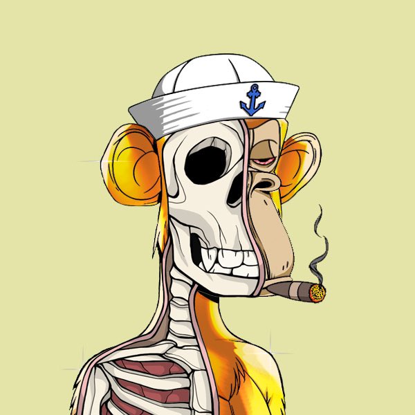 EmirMalte's tweet image. J’offre un NFT Anatomy à quelqu’un qui like ce tweet et s’abonne dans 48h

good luck 🍀