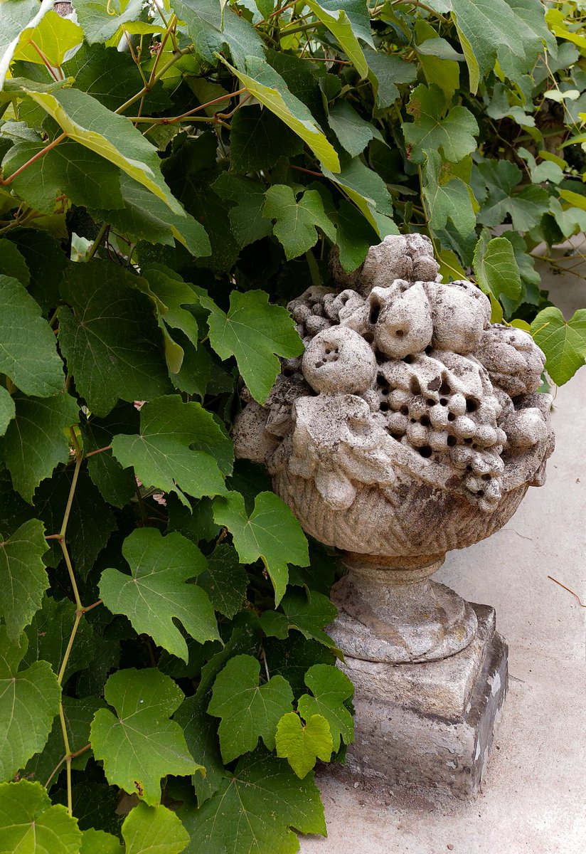 imaginaervum's tweet photo. Scorci all'orto botanico 🍃 https://t.co/JbY5D6R8ob