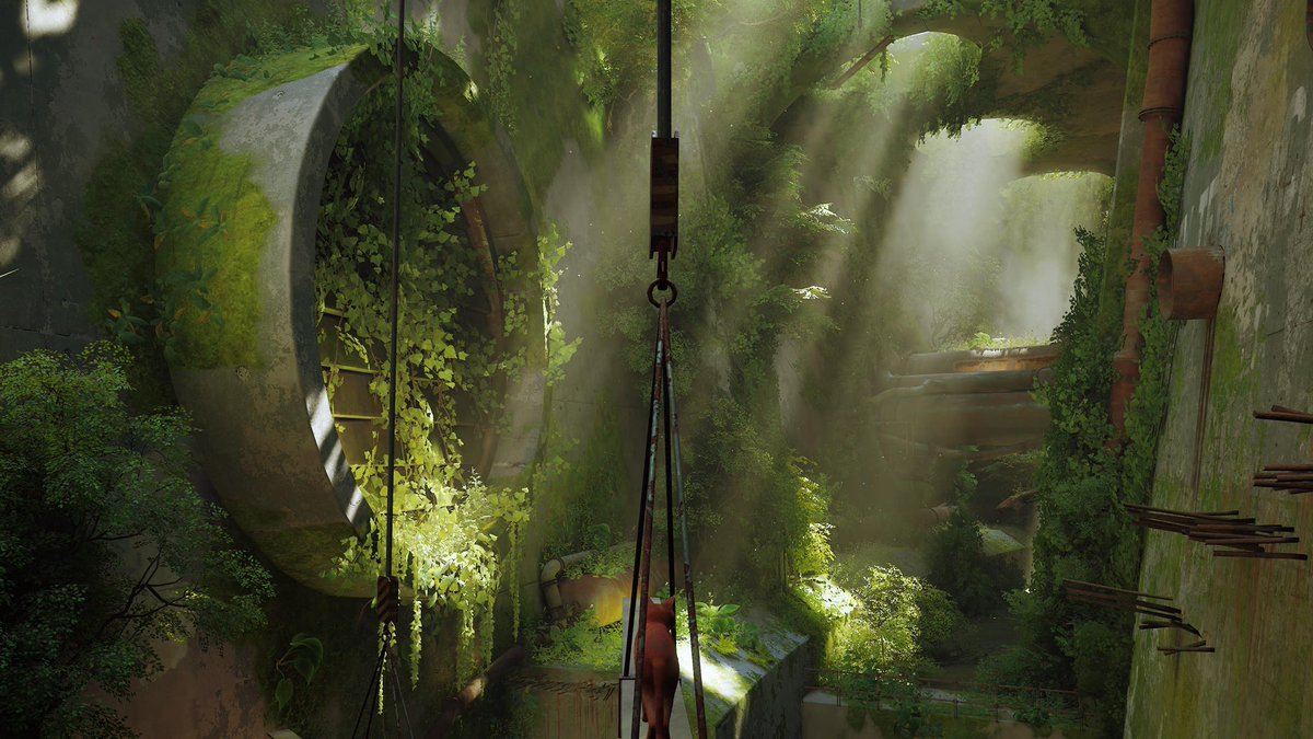 ingamecaptures's tweet photo. The purrrfect environments✨

#Stray #PS5 #PS5Share #Environment #VirtualPhotograpy #Virtual https://t.co/ymc0TOeZed
