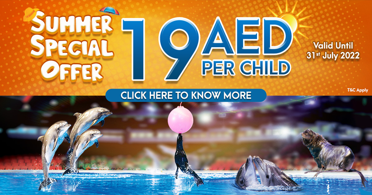Treat the kids this summer at AED19 ticket to Dolphin & Seal Show. Limited Time Offer until 31st July
Learn more dubaidolphinarium.ae/summerspecial
#lovedubaidolphinarium #dubaidolphinarium