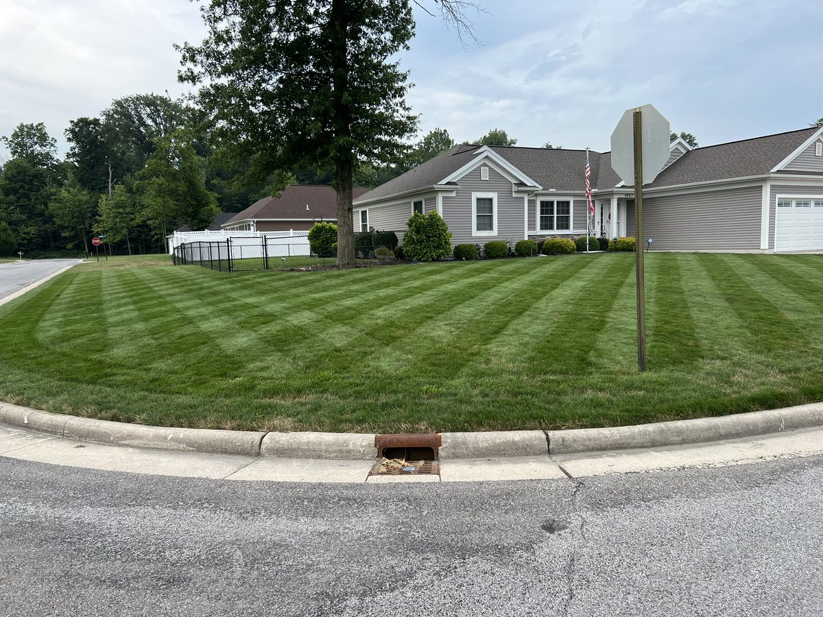 It’s just another Sunday morning! #MauchStripes