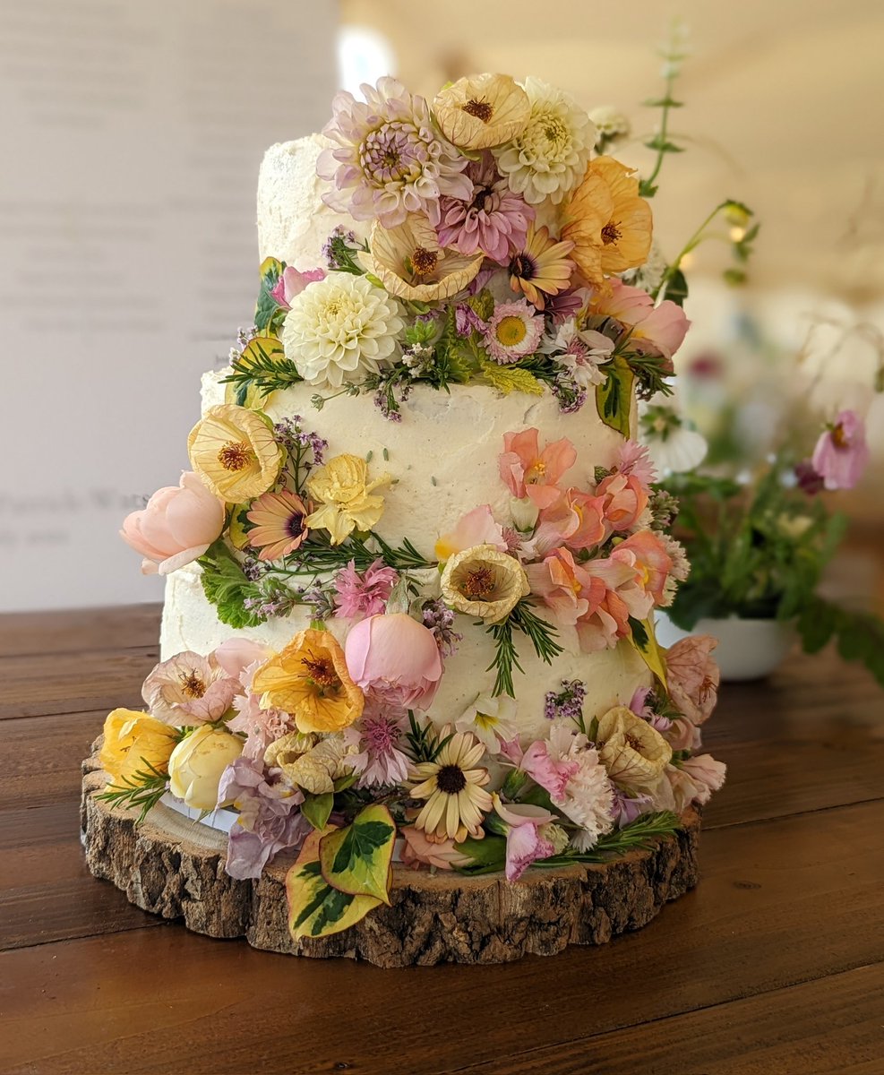 Laura FitzPatrick tweet media