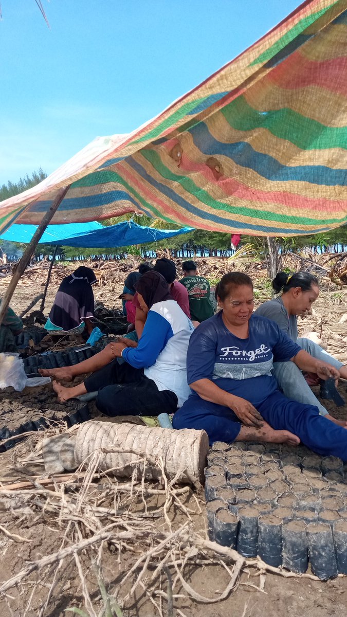 Pengisian polibag yg di lakukan ibu2 &amp; pemuda  kampung ilalang Sumedang kenagarian nyiur melambai untuk bibit manggrove