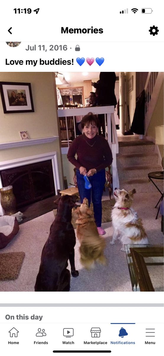 karmjm's tweet photo. @jwfox1965 @FOX5Vegas I hear ya! Sad to say the chocolate lab has passed. 😢 And taken my heart with her. 
Now this little girl rules the roost! Sure, she doesn’t help pay the mortgage or the bills and she gets the best food money can buy! May I say ‘spoiled’? 🤦🏻‍♀️ https://t.co/IWALrl9nQA
