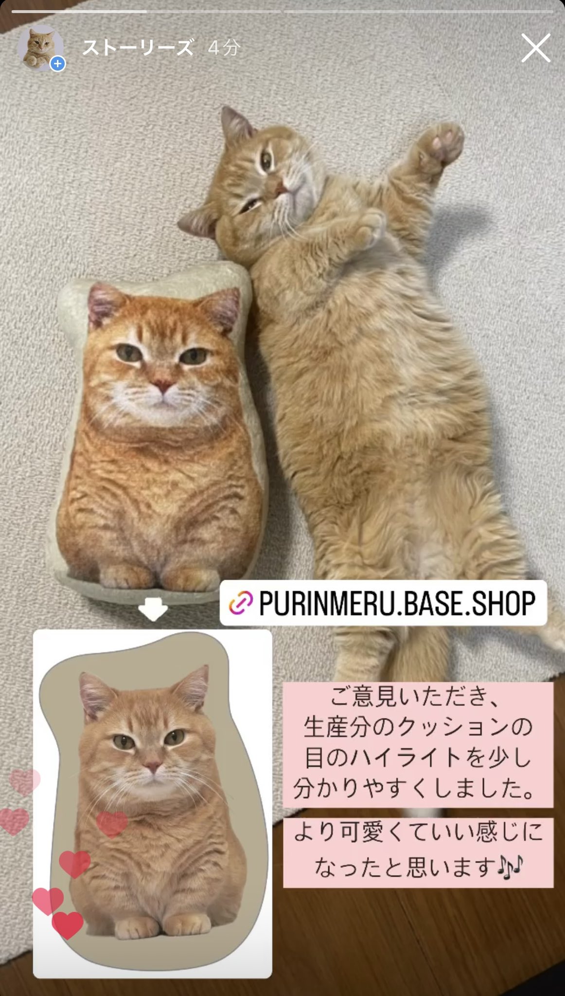 お待たせ! 短足マンチカンのプリンとメル🐾 على  X: 書