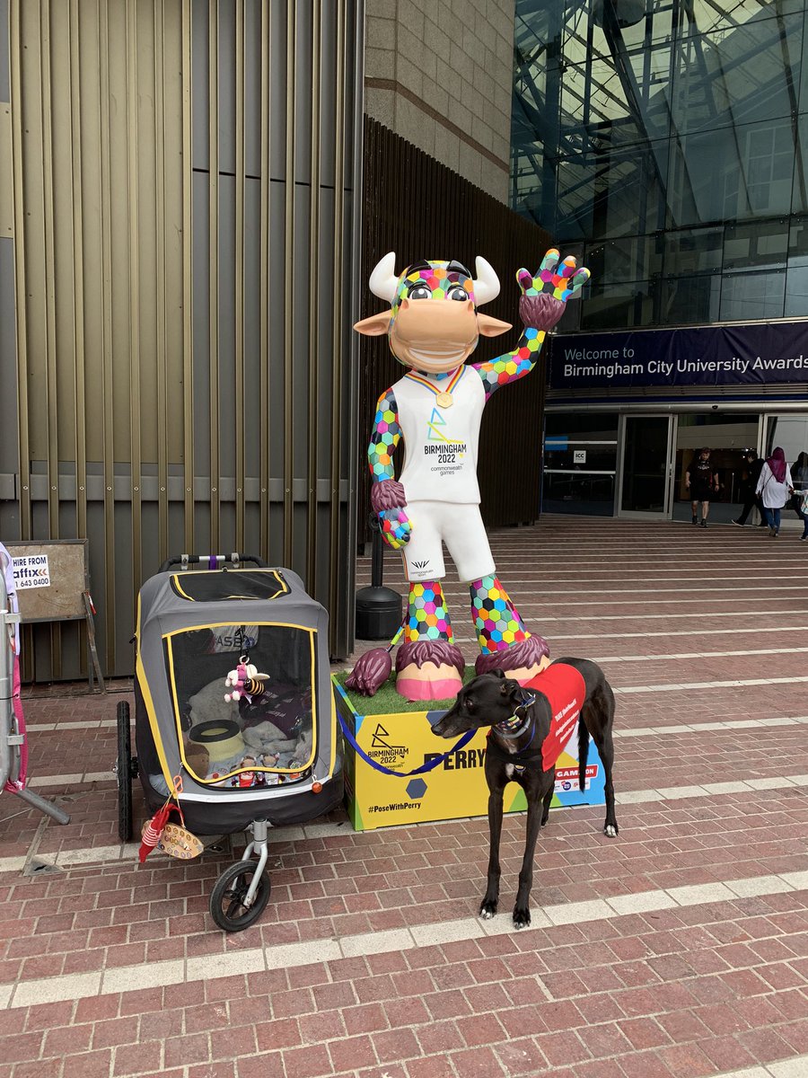 It’s my monthly birthday 2day, I’m 14yr 1 month. As the #CommonwealthGames are in my city I’m out finding Perry’s & even got a new Perry for my buggy. Got my in buggy air con on too #Fan #PoseWithPerry