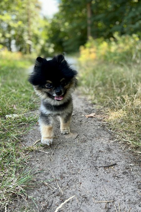 He&rsquo;s a 10 but every girl wants him. https://t.co/cwW42DSbdh