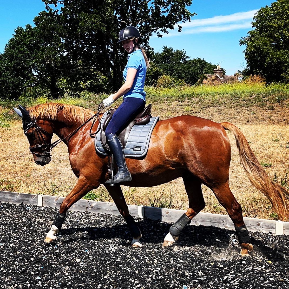 Meet Coja. We’ve been hoping to make this happen for a while but today I managed to ride him and he was a delight! Thank you Selina for trusting me with your handsome boy. He is a superstar. Can’t wait to get together again.
