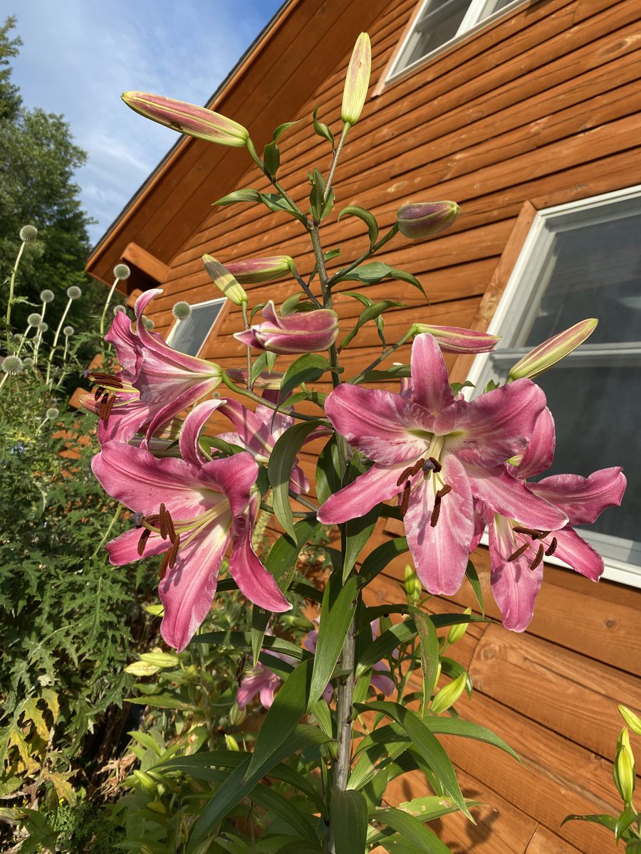 Take time to smell the flowers