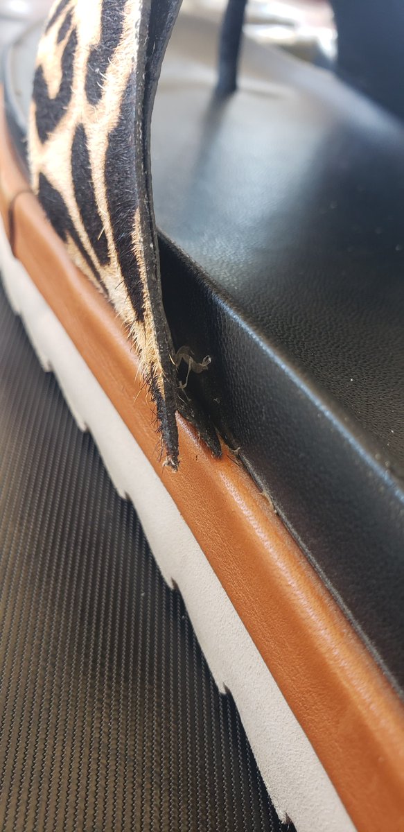 damrtp's tweet photo. @DonaldJPliner  why won't your company replace my Lylaa Genuine Calf Hair Platform Sandal ???  Sunrise Brands will not help me?? These were expensive!!!! https://t.co/1J2MThUgLE