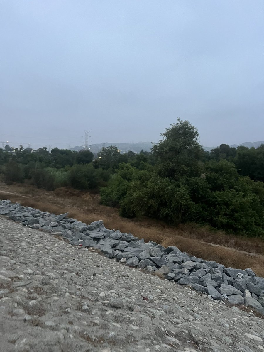 SC_Herd's tweet photo. #SundayHike 7/24
#LetsDoThis
#LA
#WhittierHills
#HalfMarathonPlus https://t.co/ndHWydD0aI