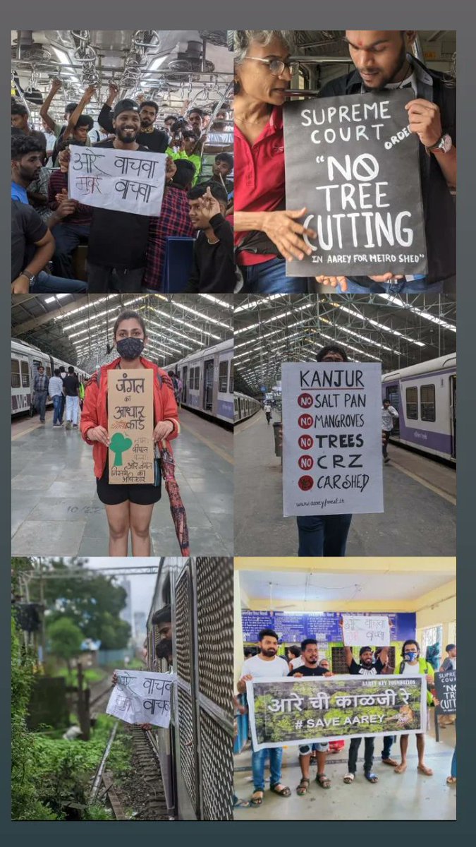 Pranu_wild's tweet photo. #saveaarey #aareykeyfoundation #saveaareyforest https://t.co/5l8JZJfVPg