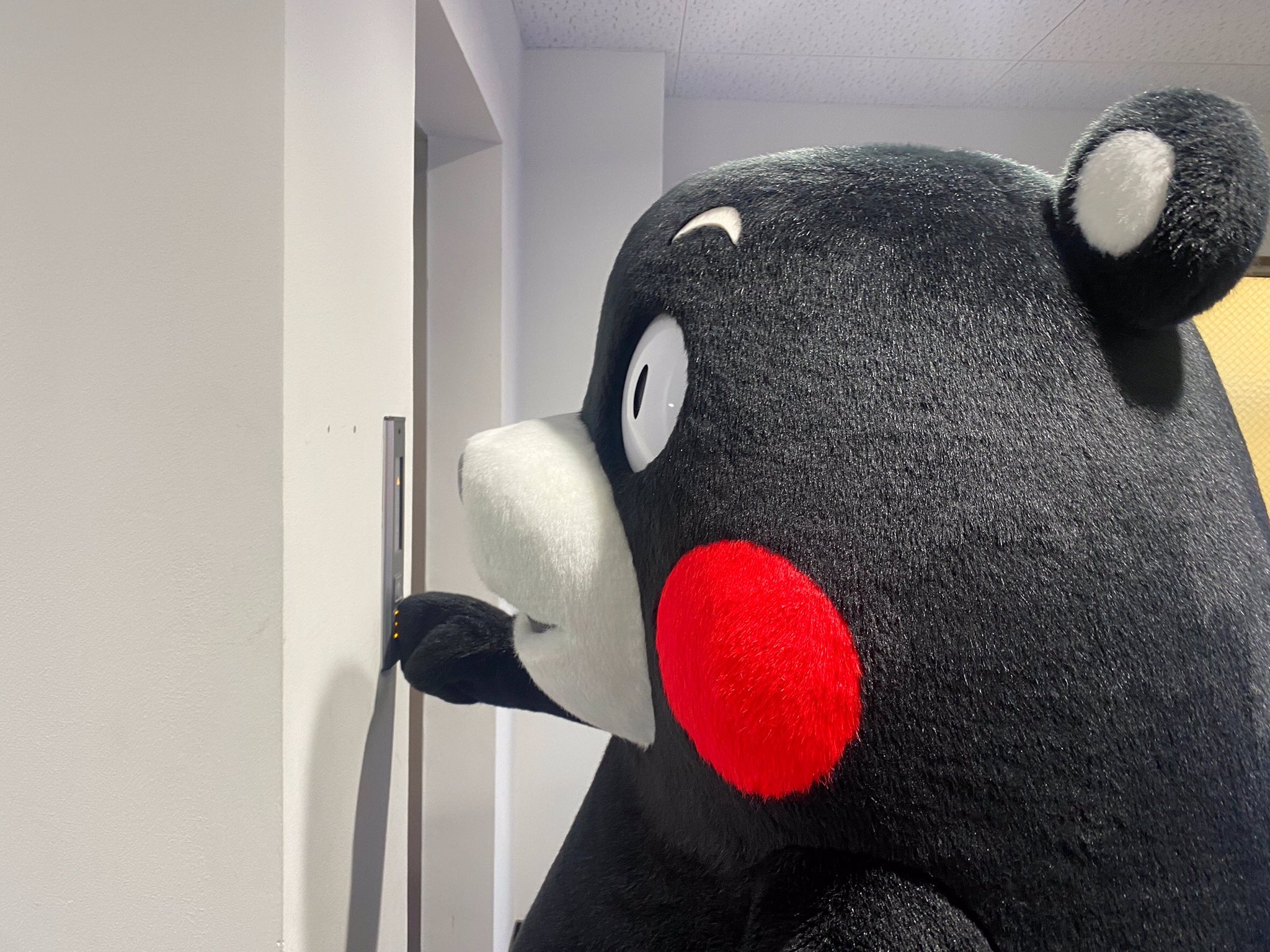 Follow くまモン 公式 S 55 Kumamon Latest Tweets Twitter