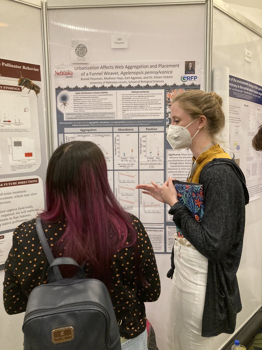 Dr. Eileen Hebets (she/her) 🕷 (@hebets_lab) on Twitter photo Congratulations to <a href="/BrandiPessman/">Brandi Pessman</a> for winning the Founders award for best poster for her work impacts of #urbanization on #spiders #ABS2022 <a href="/AnimBehSociety/">Animal Behavior Society</a> <a href="/UNLsbs/">Nebraska Bio Sci</a> <a href="/unlcas/">Nebraska CAS</a> Congratulations to <a href="/BrandiPessman/">Brandi Pessman</a> for winning the Founders award for best poster for her work impacts of #urbanization on #spiders #ABS2022 <a href="/AnimBehSociety/">Animal Behavior Society</a> <a href="/UNLsbs/">Nebraska Bio Sci</a> <a href="/unlcas/">Nebraska CAS</a>
