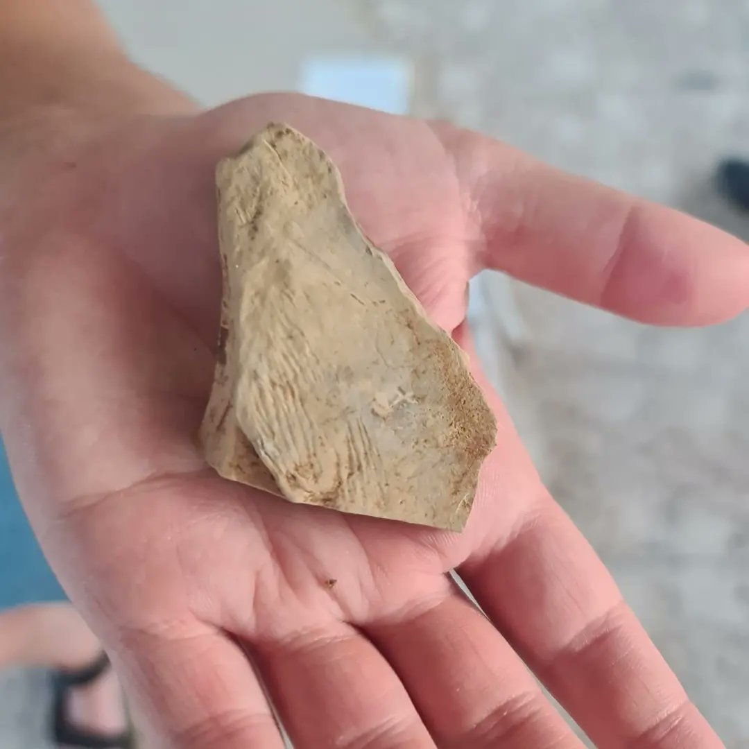 Fantásticos hallazgos de estos últimos días, cada día estamos más motivados y sorprendidos. 🏞️