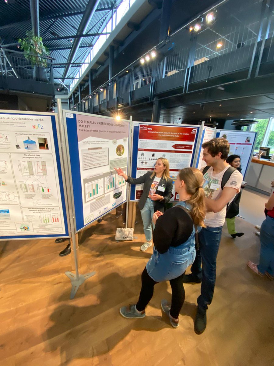 Lea Vodjerek tweet media