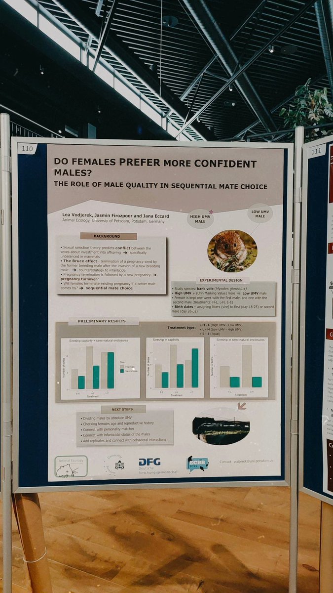 First poster presentation done! So glad that I had an opportunity to present it at <a href="/ecbb2022/">ECBB 2022</a>, it was an amazing experience! Thank you for having us Groningen 🐹
#ECBB2022Groningen #AnimalEcologyPotsdam