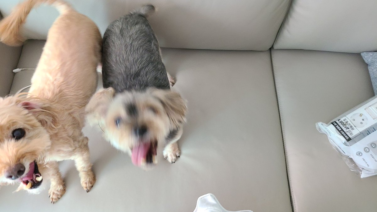 Hard__working's tweet image. 멈머투척