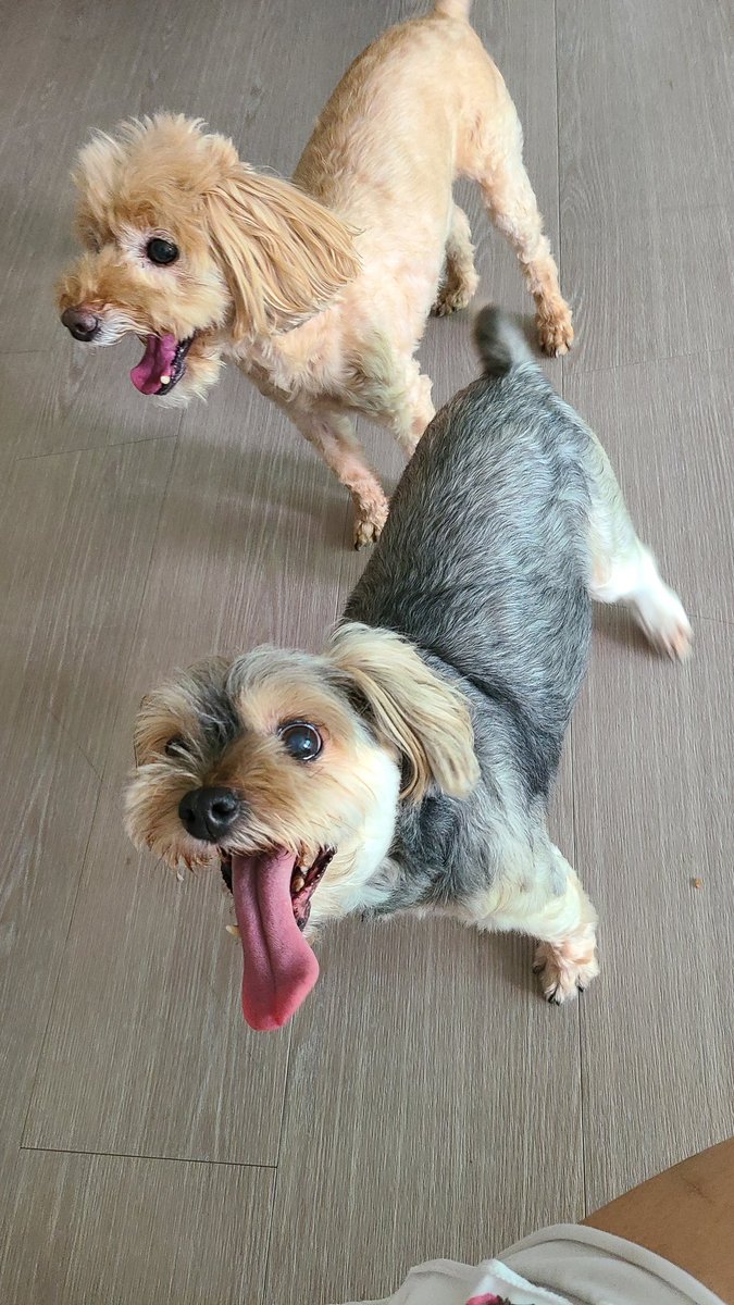 Hard__working's tweet image. 멈머투척