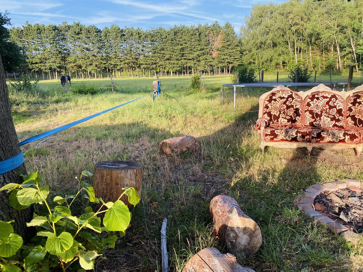RoosTante's tweet photo. Thuiskomen op den buiten
Mijn zicht vanop mijne zwier.. ⬇️
De ‘buren’ zijn terug ‘thuis’
Ook: mijn pompoenen doen het goed.
Zot hoe de plant het gewicht zonder moeite draagt
#RoseResidence #Home https://t.co/8XrgdXPJ91