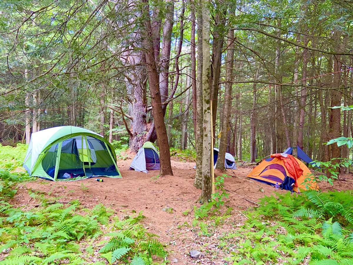 BLSoundDesign's tweet image. By the time we got to Woodstock ☮️ 🎵😎