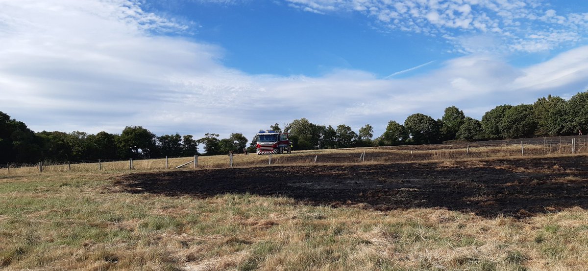 Steve Buchanan-Lee tweet media