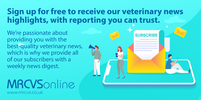 FIVP (@fedivp) on Twitter photo 