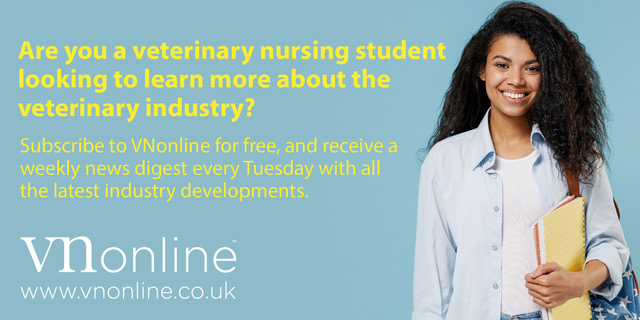 FIVP (@fedivp) on Twitter photo 