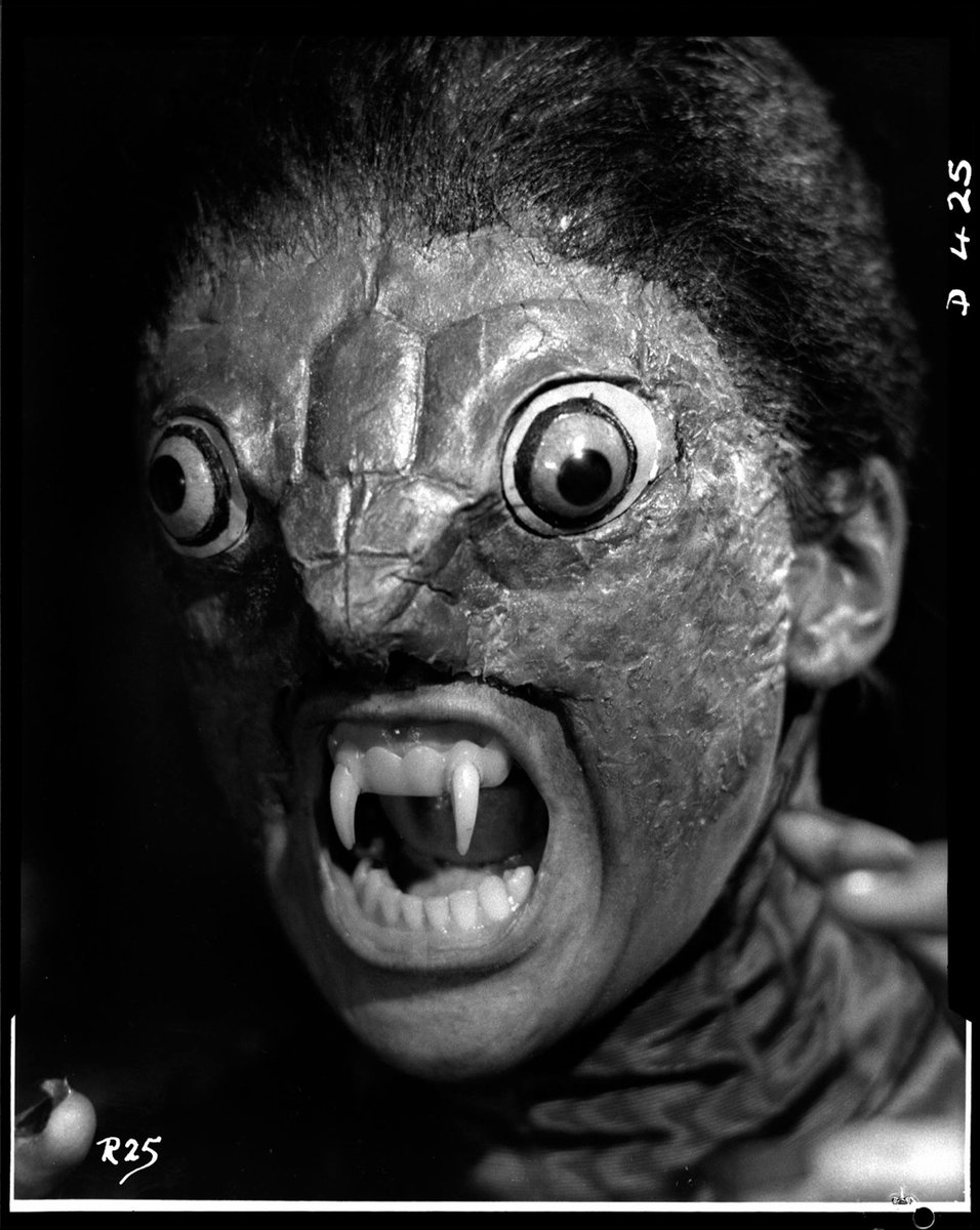 HorrorHammer1's tweet image. 1966 The Reptile