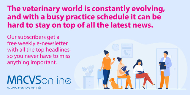 FIVP (@fedivp) on Twitter photo 