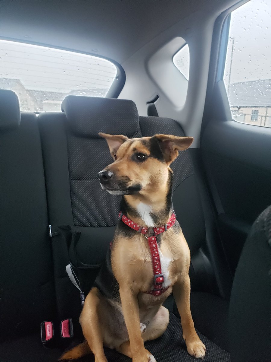 So happy to get home to our sweet boy.