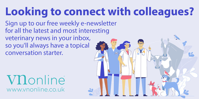 FIVP (@fedivp) on Twitter photo 