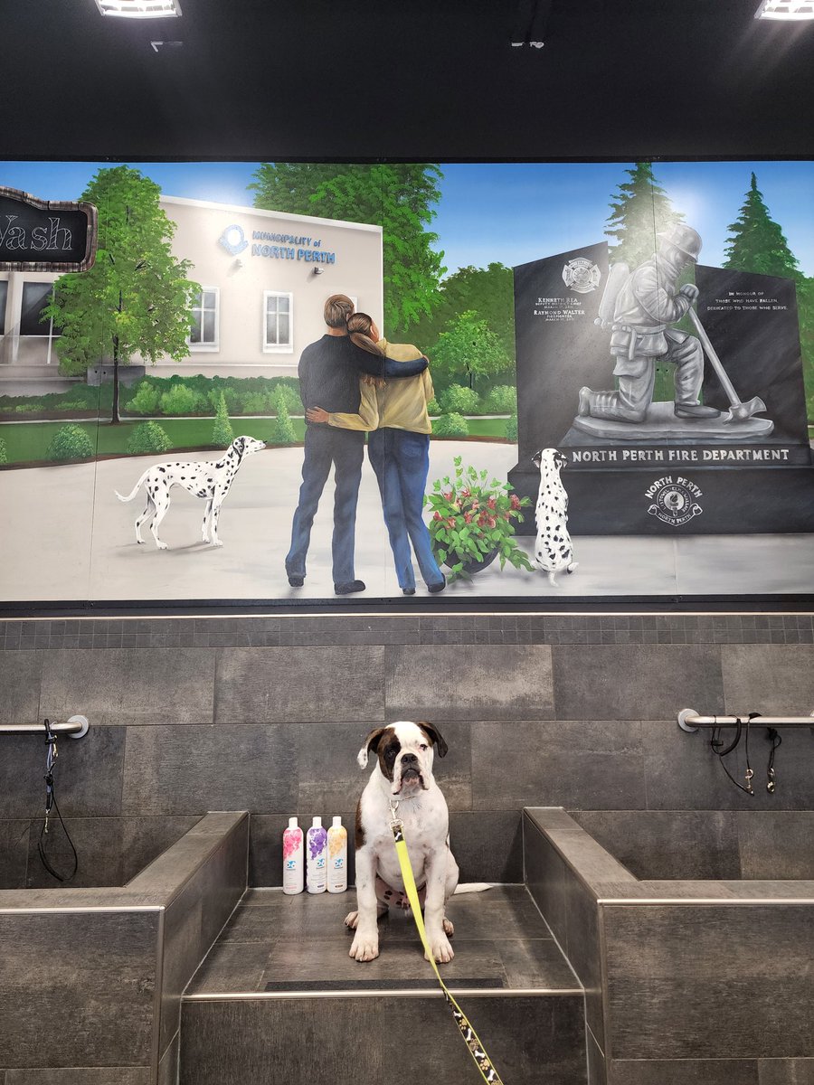 Bruce was sitting so good after getting a bath at PetValu in Listowel.
As we took his picture, noticed the beautiful mural paying tribute to the fallen Firefighters <a href="/northperthfd/">North Perth Fire</a>