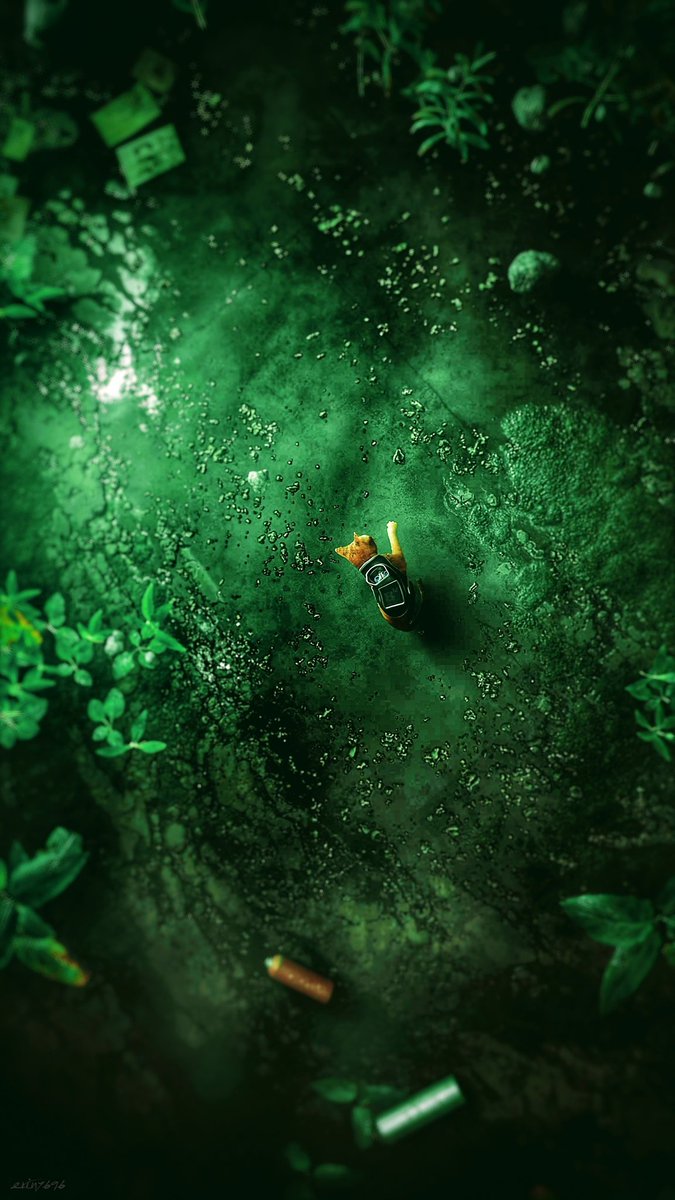 #stray <a href="/Blue12Studio/">BlueTwelveStudio</a> #PS5 #TheCapturedCollective #VGPUnite #VGPNetwork #VPGamers #ThePhotoMode #ArtisticofSociety #GamerGram #VirtualPhotography #WorldofVP #VPEclipse #VPCONTEXT #ZarnGaming #PhotoDenUC