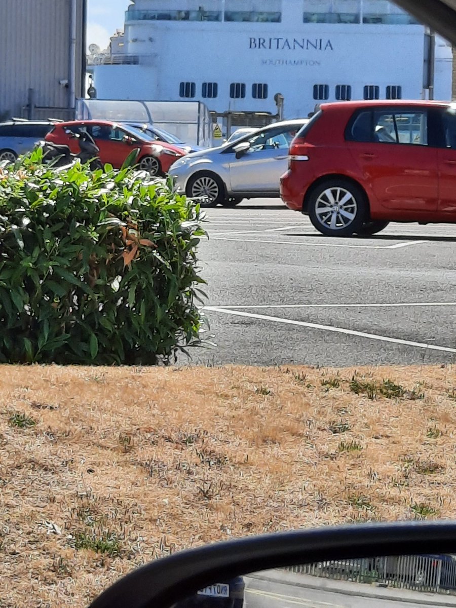 Dave Jenkins tweet media