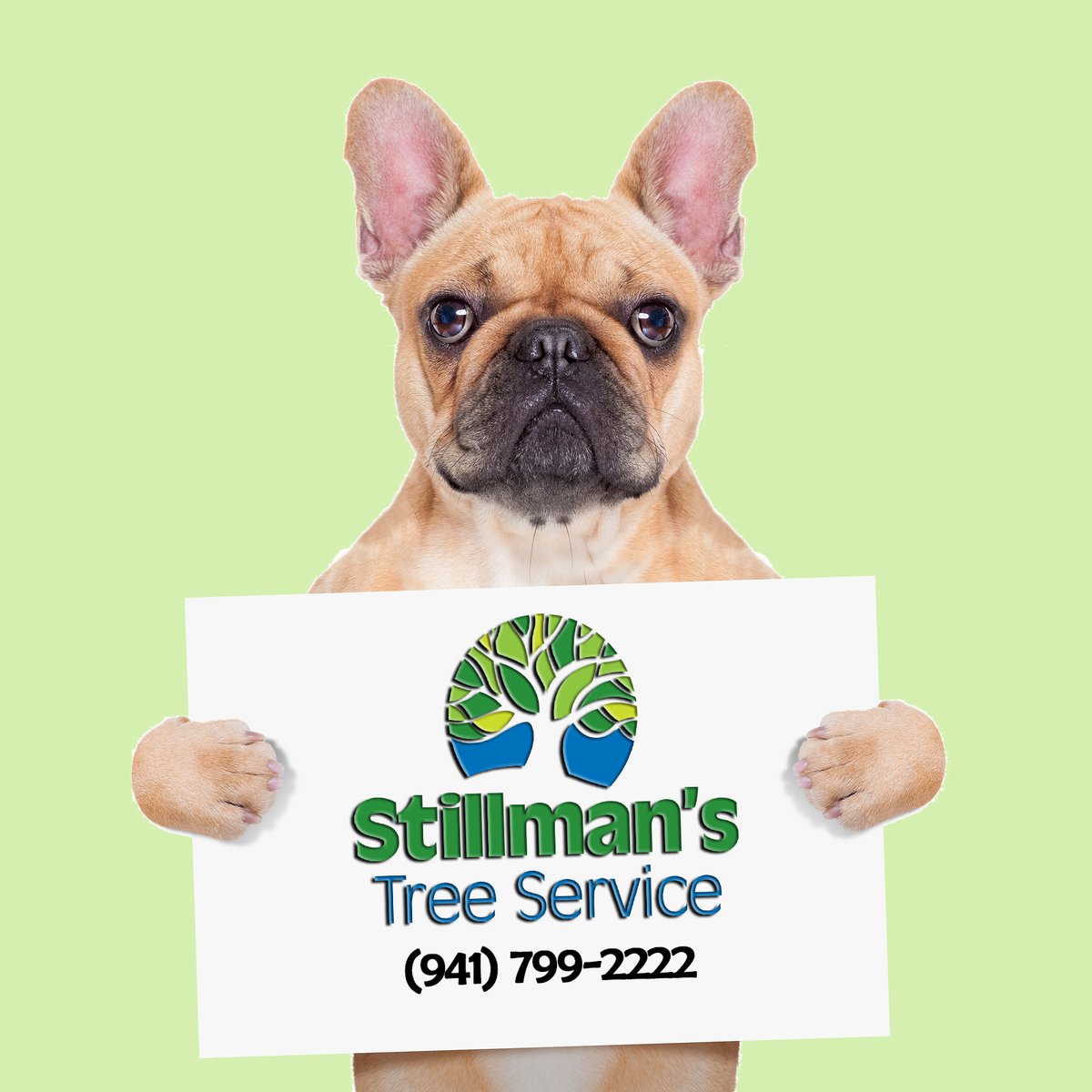 StillmansTree's tweet image. For all your Tree Service needs. Call (941) 799-2222 #StillmensTreeService #TreeTrimmer #TreeRemoval #TreeCutting