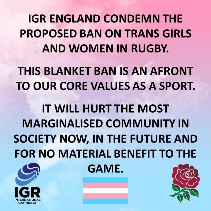 KXSteelers's tweet image. 