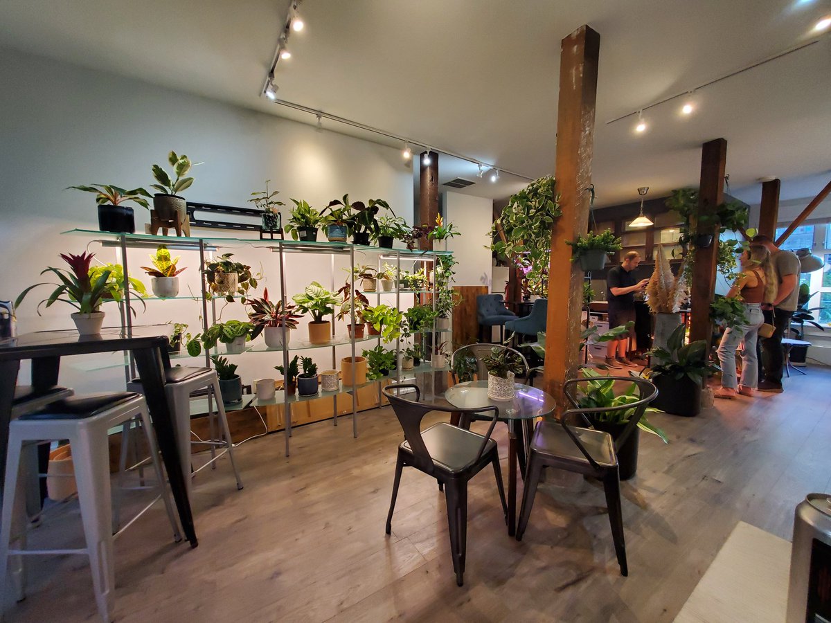 techdrinkspaces's tweet photo. If you're in the Fremont district of Seattle check out this cool new space @botanticale where you can drink local and buy plants! @lowercasebrewing @HMBrewery https://t.co/LEPH23us3n