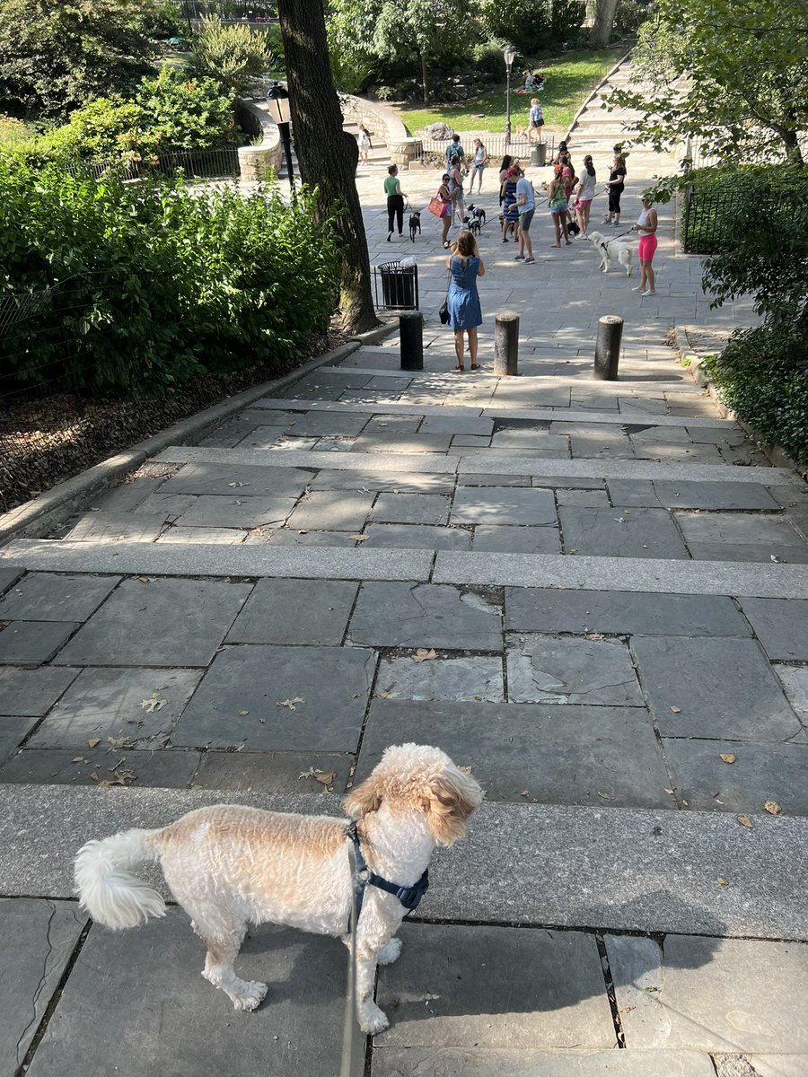 Jeremy Berman on Twitter "As we entered Carl Schurz Park and neared