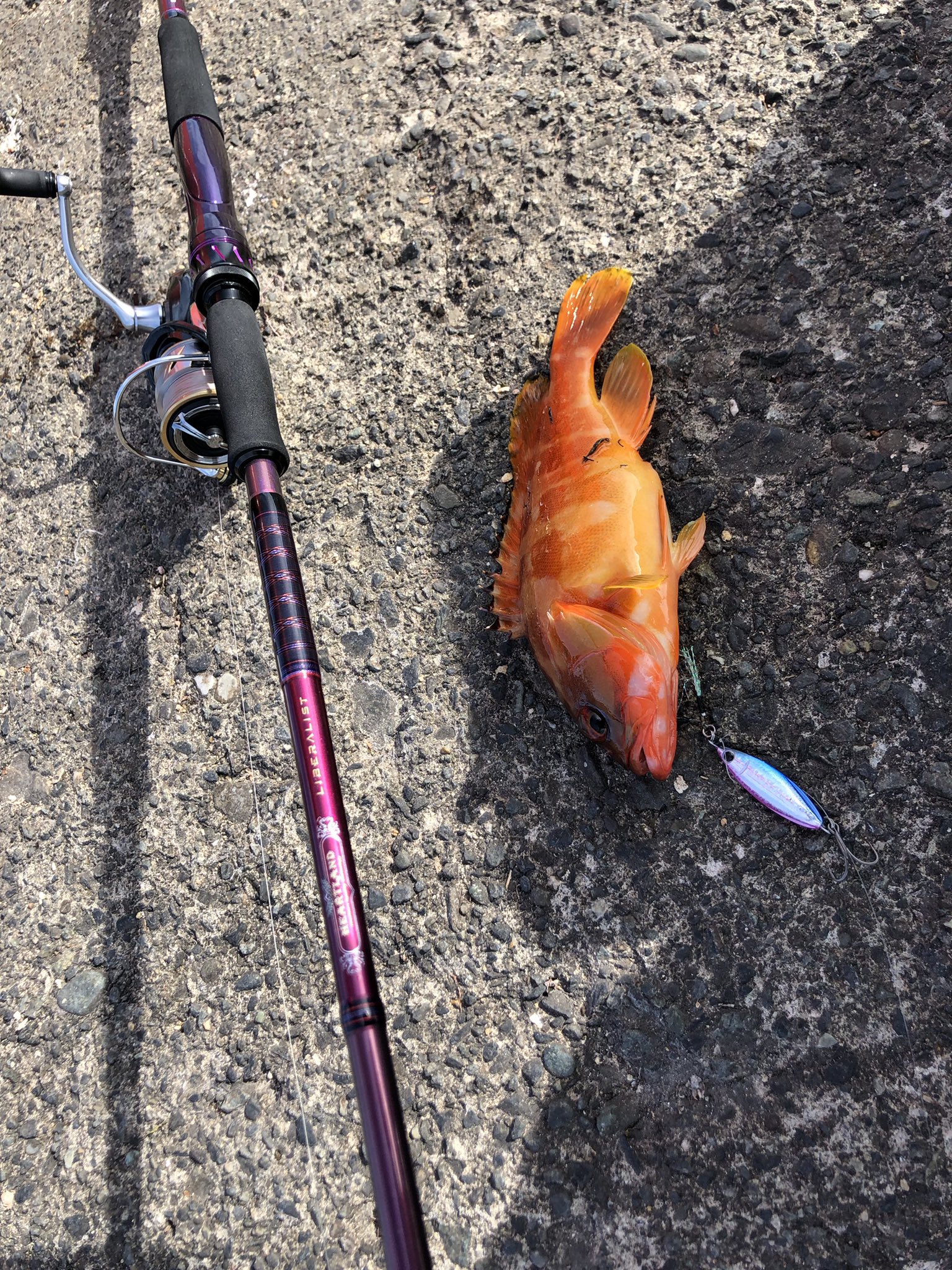 ハートランド リベラリスト903