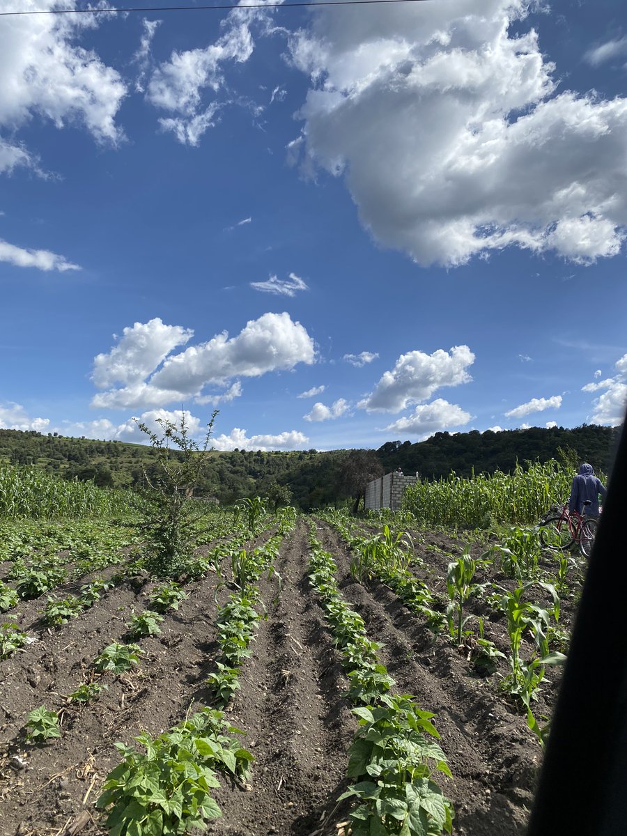 LifeMuseumML's tweet photo. Este es un lugar sagrado. Paso de Cortés. #amecameca #puebla #mexico https://t.co/hEjsx4xAkj